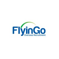 Flyingo International logo - Similar company to Slam Brands