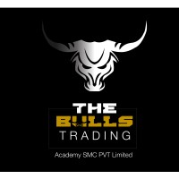 The Bulls Trading Academy logo - Similar company to American Trading Academy | Ricardo Vasconcellos