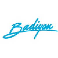 Badiyan, Inc. logo - Similar company to Omnitool Incorporated