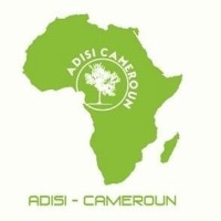 ADISI-Cameroun Org logo - Similar company to Data Cameroon
