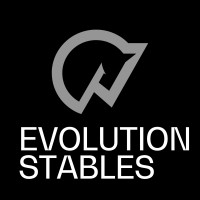 Evolution Stables logo - Similar company to Wizzigroup