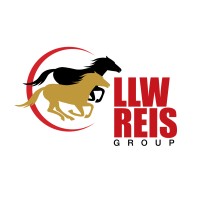 LLWREIS Group logo - Similar company to Ups Group Ltda