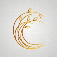 Capital Consulting Mx | Consultora financiera logo - Similar company to Atlgrowth