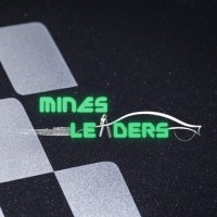 Mines Leaders logo - Similar company to Univerbat