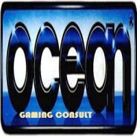 Ocean Gaming Consult  ( Africa Gaming Industry) logo - Similar company to Fnx Studio