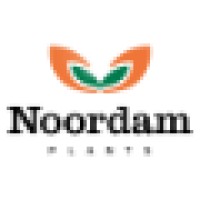 Noordam Plants