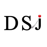 Divine Solutions Japan logo - Similar company to Canning & Associates