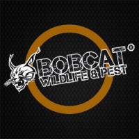 Bobcat Wildlife & Pest logo - Similar company to B & B Pest Control
