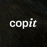 copit -- a leather specialty platform logo - Similar company to 7-13 It Solutions