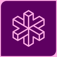 Daniela Schubert | DEIB-Consulting logo - Similar company to Cogneus Design