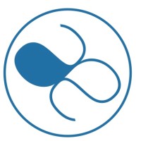 Aesthetical logo - Similar company to Harmony Progress
