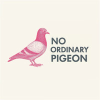 No Ordinary Pigeon logo - Similar company to Neoscreative | Immersive Exhibition & Event Agency