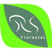 RS Florestal logo - Similar company to Rdk Logs
