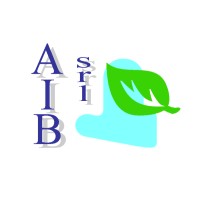 AIB Srl