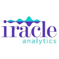 Iracle Analytics logo - Similar company to Prime Network Computing