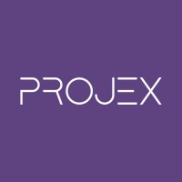 Projexkrd logo - Similar company to Inslemani