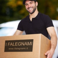 I Falegnami S.r.l. logo - Similar company to Dandan Studio