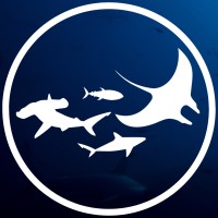 Pelagios Kakunja logo - Similar company to Cosorema; Conservación Sostenible De Los Recursos Marinos Y Acuáticos A.C.