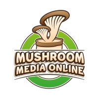 Mushroom Media Online logo - Similar company to Root Wise Repair (Gbeta '24)