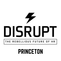 DisruptHR: Princeton 2.0 logo - Similar company to Diversity First Consortium