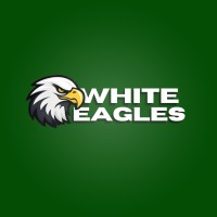 White Eagles logo - Similar company to White Eagles Digital