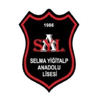İzmir Selma Yiğitalp Anadolu Lisesi logo - Similar company to Global Seaport Services, Inc.