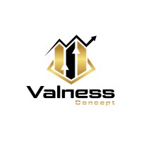 Valness Concept logo - Similar company to Practical Finance Solutions