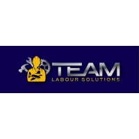 TEAM Labour Solutions logo - Similar company to Aus Mining Personnel Pty Ltd