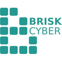 Brisk Cyber IT Solutions logo - Similar company to Infowitt