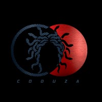 Coduza (PVT) LTD logo - Similar company to Infox Global