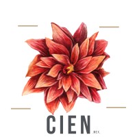 Cien
