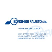 BORGHESI S.R.L. logo - Similar company to Suncover S.P.A. - Non Più In Attività