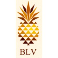B L Valley Real Estate
