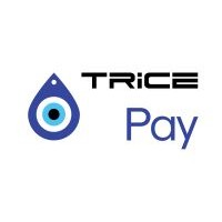 TPay Exchange logo - Similar company to Salf