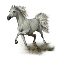 White Horse Medical Transportation logo - Similar company to Rove App