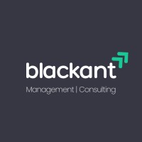 Blackant - Management | Consulting logo - Similar company to Blackant