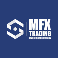 MFX - TRADING Investment Company OJSC logo - Similar company to Mfx