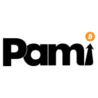 Pami Consulting logo - Similar company to Digiwert
