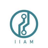 IIAM logo - Similar company to Iiam.