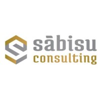 Sabisu Consulting S.A. de C.V. logo - Similar company to Instituto Médico Langle