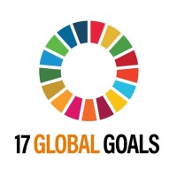 17 Global Goals logo - Similar company to The Youth National Security Strategy