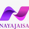 Nayajaisa logo - Similar company to Blue Infotech