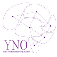 Youth Neuroscience Organization logo - Similar company to Tedxtsmu