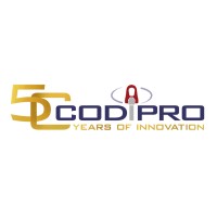 CODIPRO logo - Similar company to Cognitive Box Consulting Llc