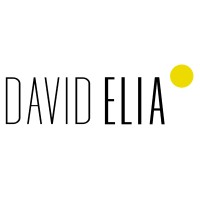 David Elia Multidisciplinary Art Studio