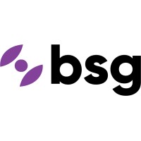 BSG Solutions LLC. logo - Similar company to Icf Interactive (Now Icf Olson)