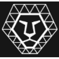 Borex Capital logo - Similar company to Atlas Fellows