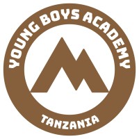 Young Boys Academy logo - Similar company to Mediating Aps