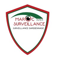 MAROC INTERSURVEILLANCE logo - Similar company to Nz Design
