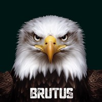 Brutus Bier logo - Similar company to Wheelsz
